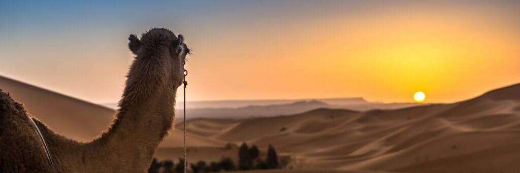 De Marrakech a Fez por el Desierto