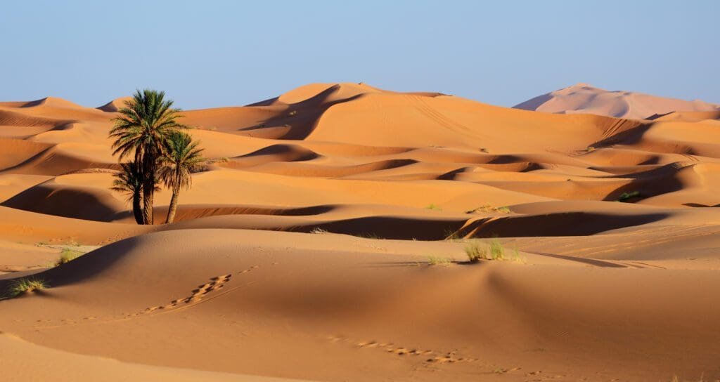 La Ruta de las Mil Kasbahs