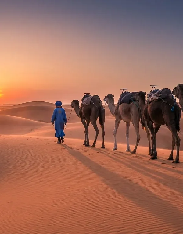 Desierto