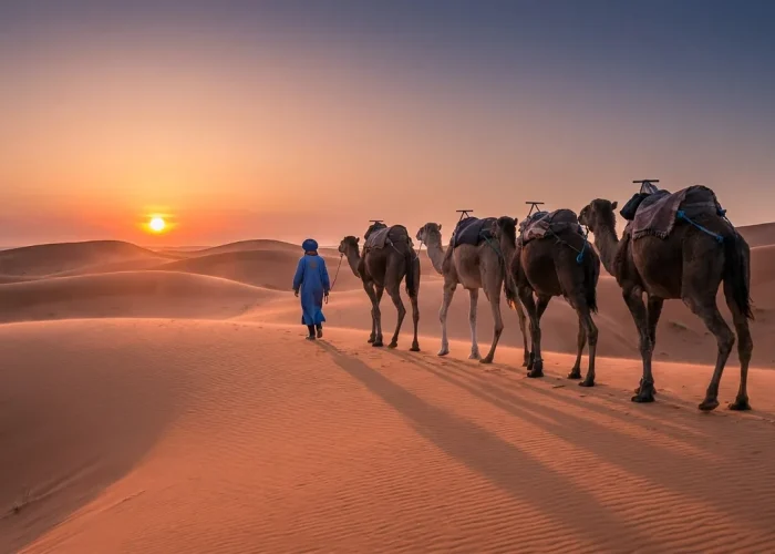 Caravana de dromedarios al atardecer en las dunas del Erg Chebbi, Sáhara marroquí